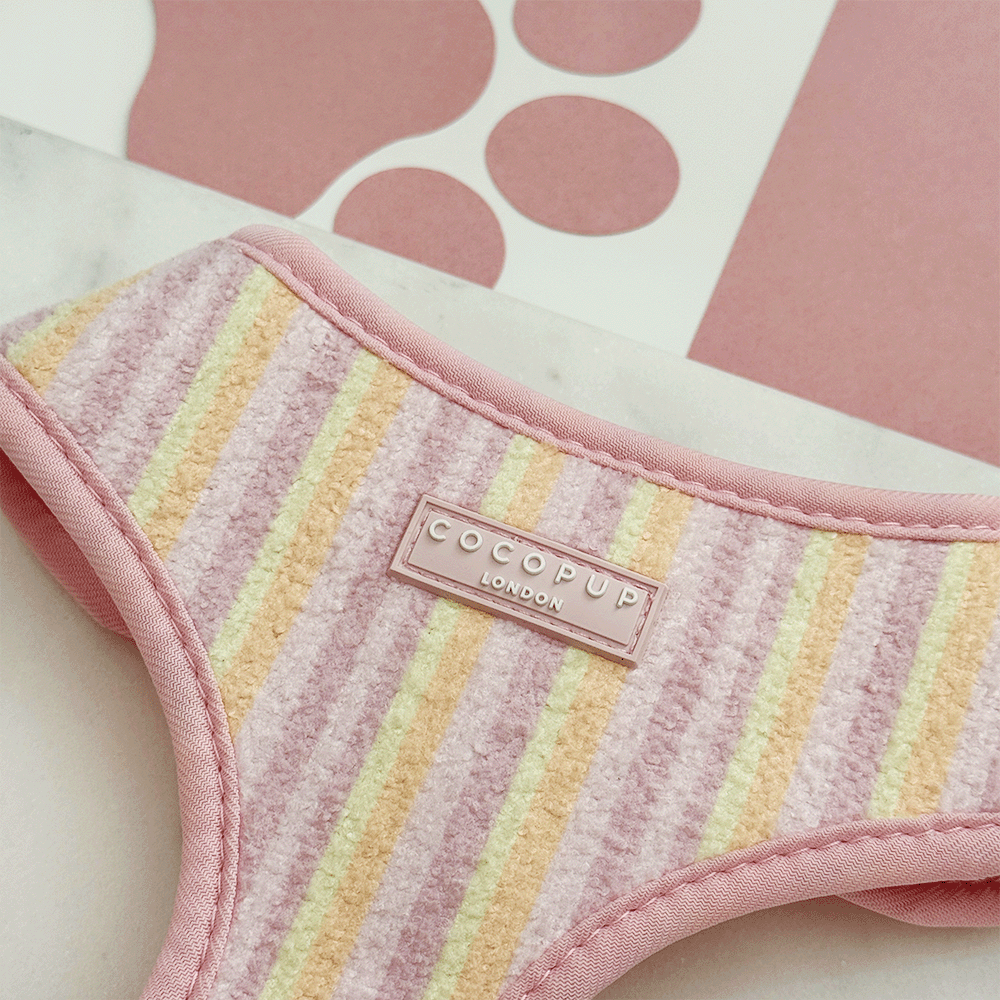 Pastel Stripes Adjustable Neck HARNESS for Dogs