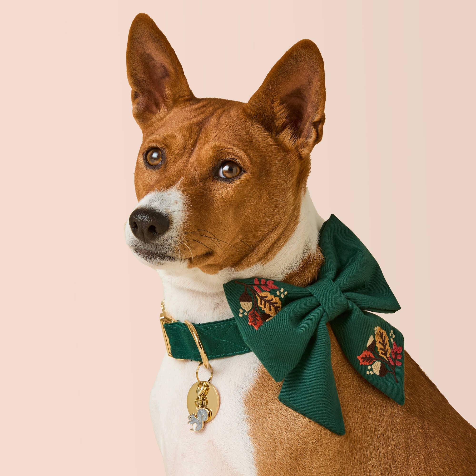 Fall Foliage Embroidered Lady Dog Bow