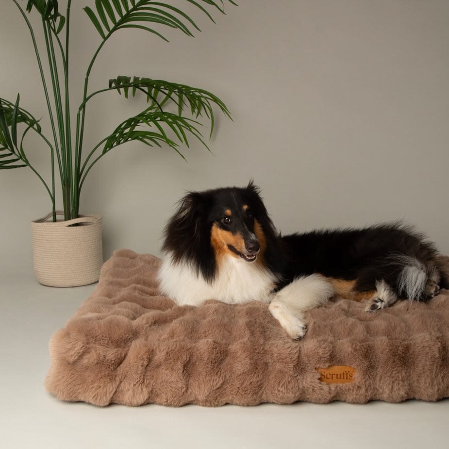 Scruffs Taupe Alpine Mattress Dog Bed