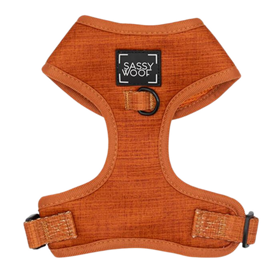 Foxy - Adjustable harness