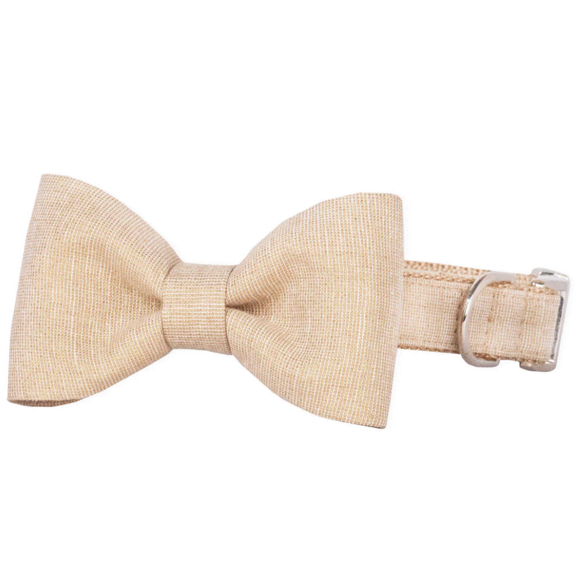 Gold Glitter Bow Tie Dog Collar