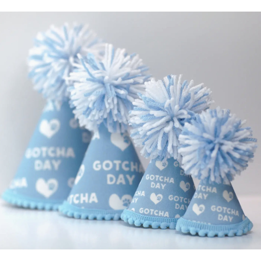 Blue gotcha day party hat