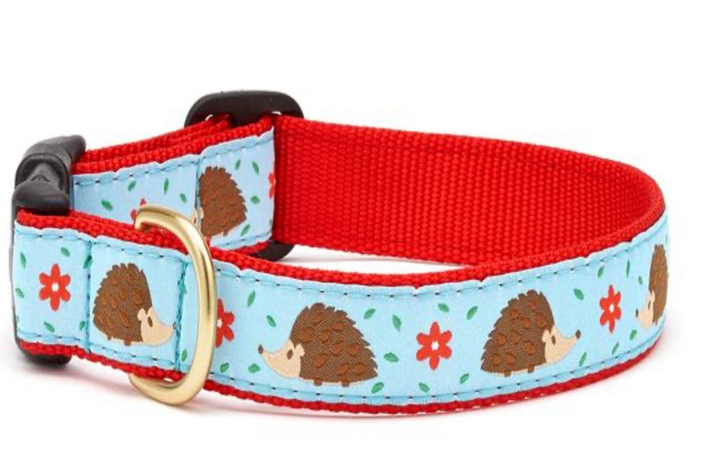 Hedgehog collar