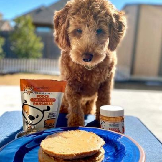 Load image into Gallery viewer, Pumpkin Pup Pooch Pancakes - 100% All Natural
