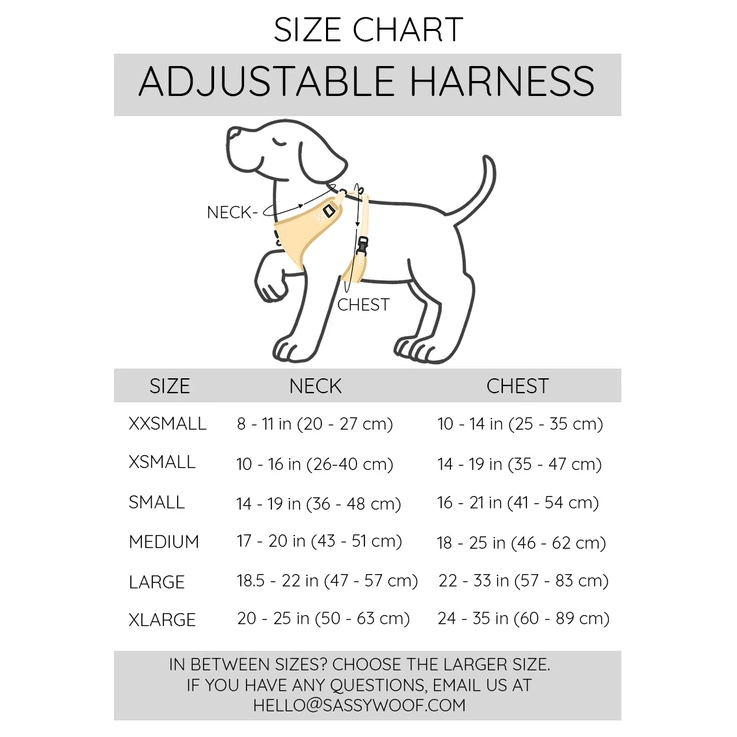 Teddy adjustable harness