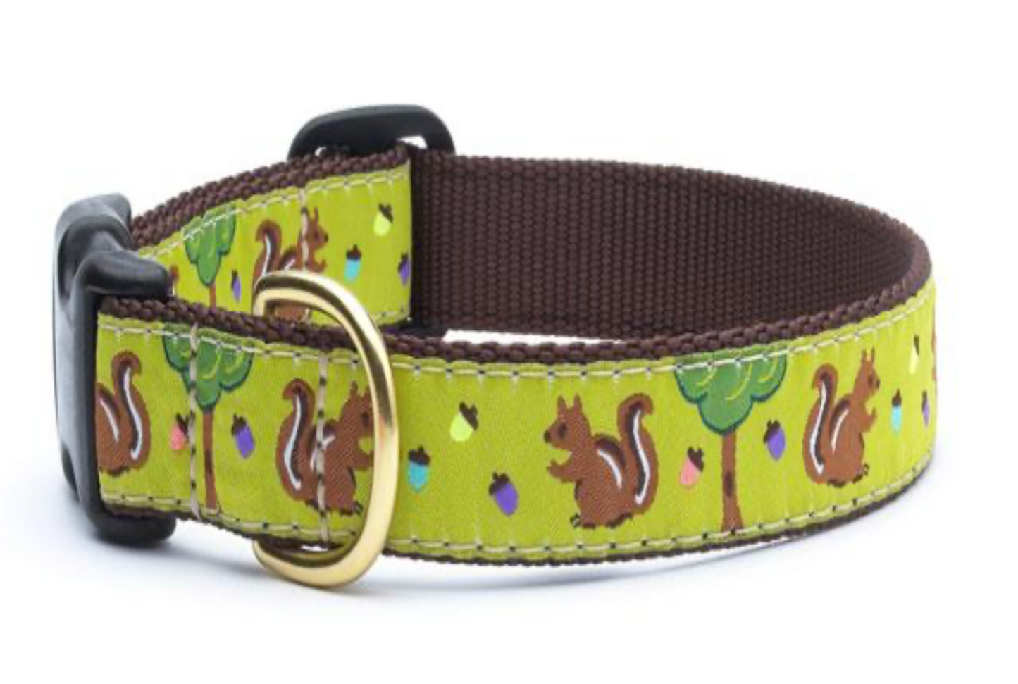 Squirrel collar