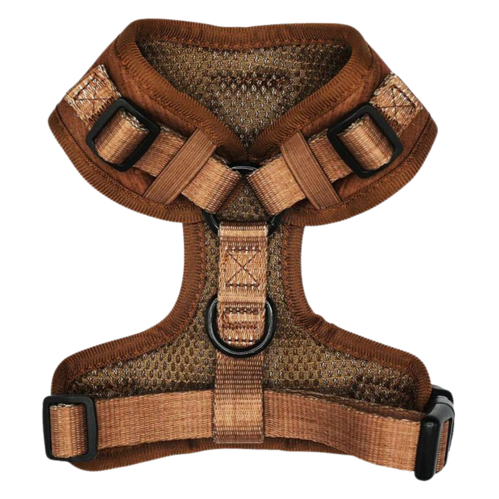 Teddy adjustable harness