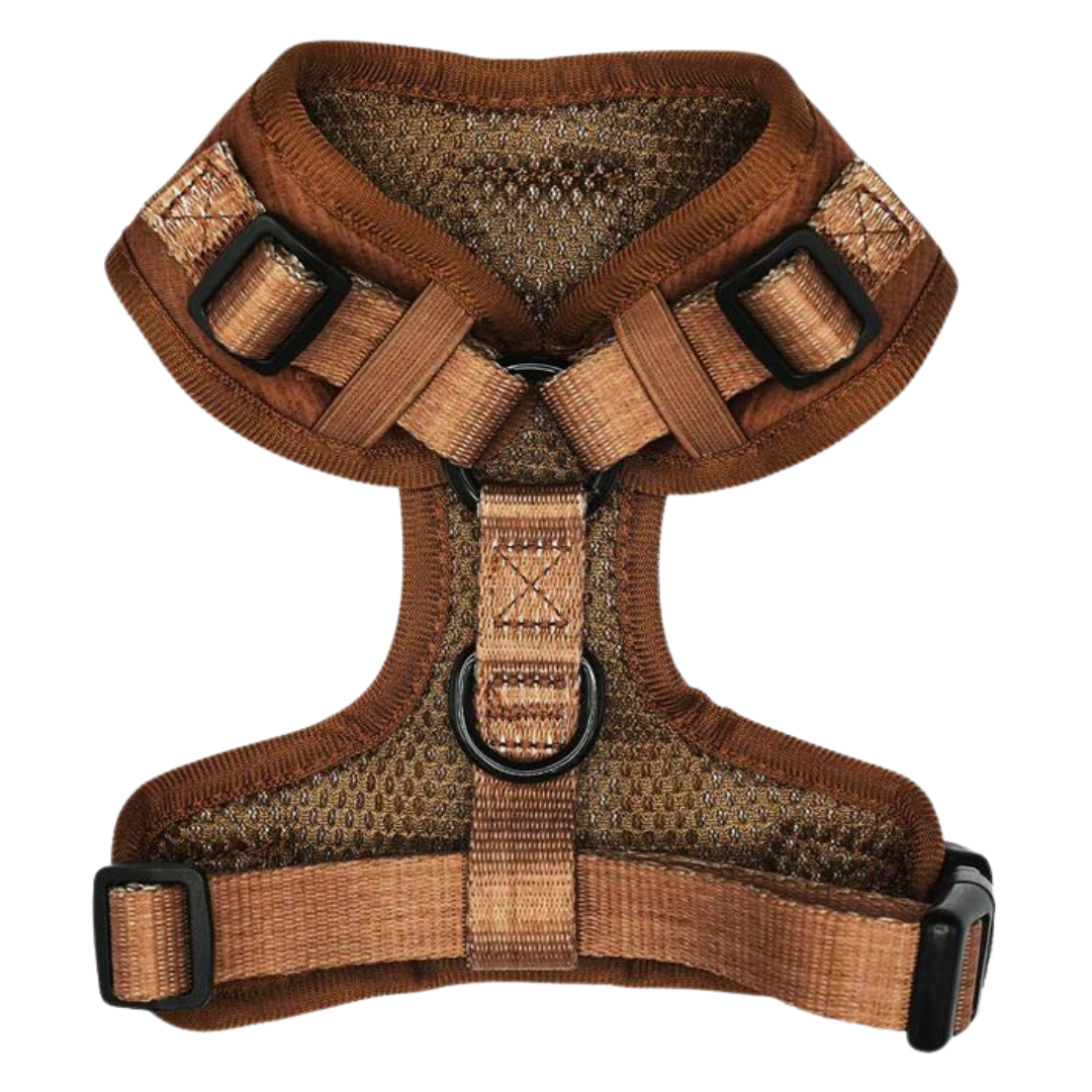 Teddy adjustable harness