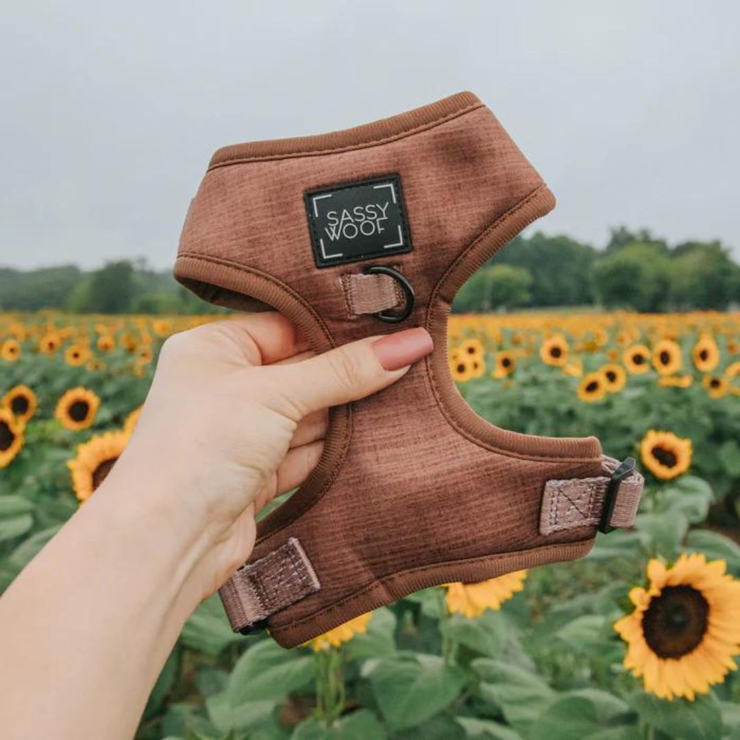 Teddy adjustable harness