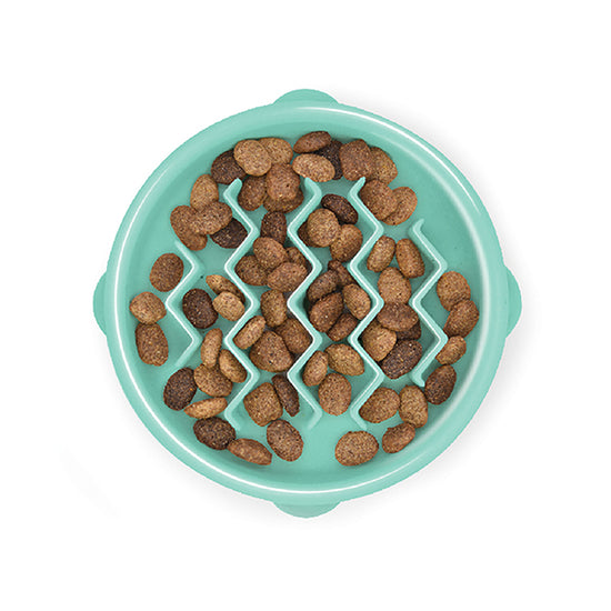 Mint wave Slow feeder (small/tiny)