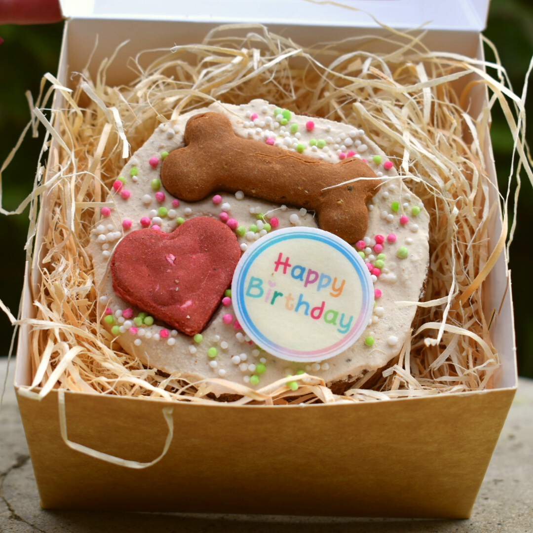 Dog Birthday cake
