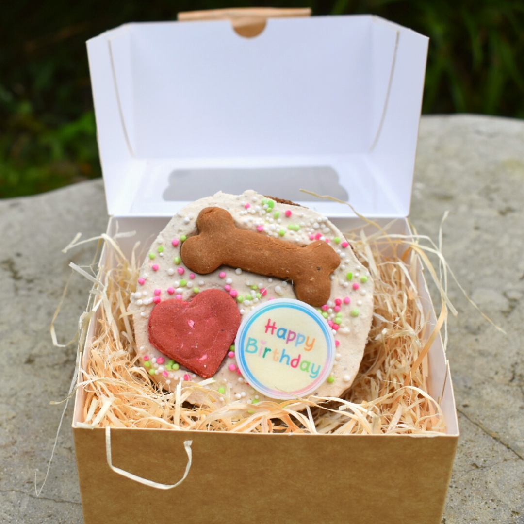 Dog Birthday cake