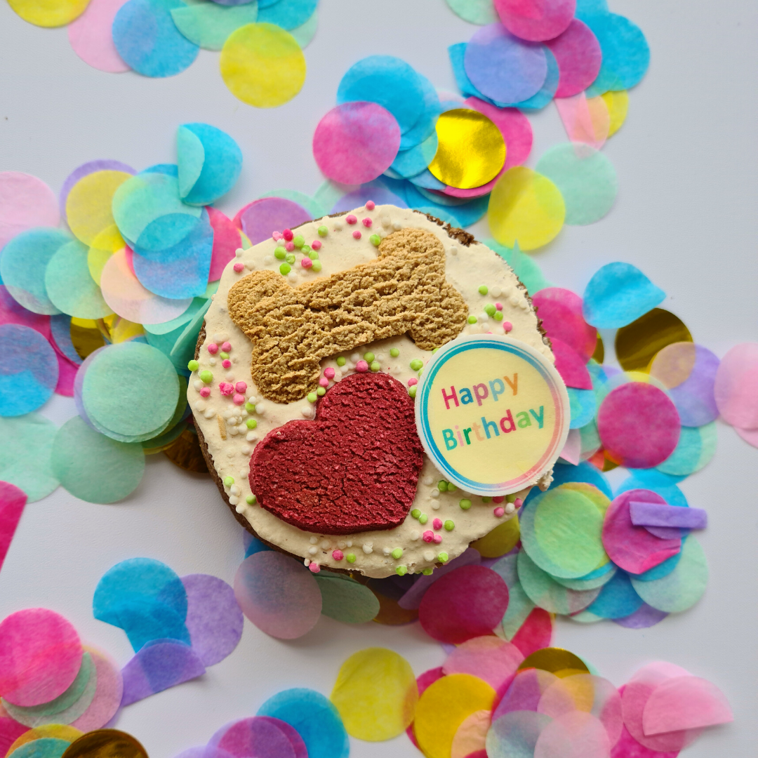 Dog Birthday cake
