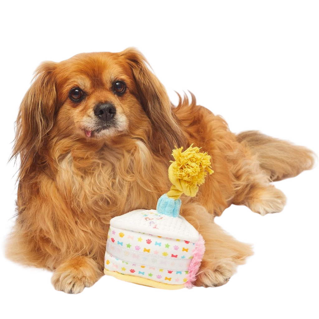 Rainbow Sparkle Cake Slice