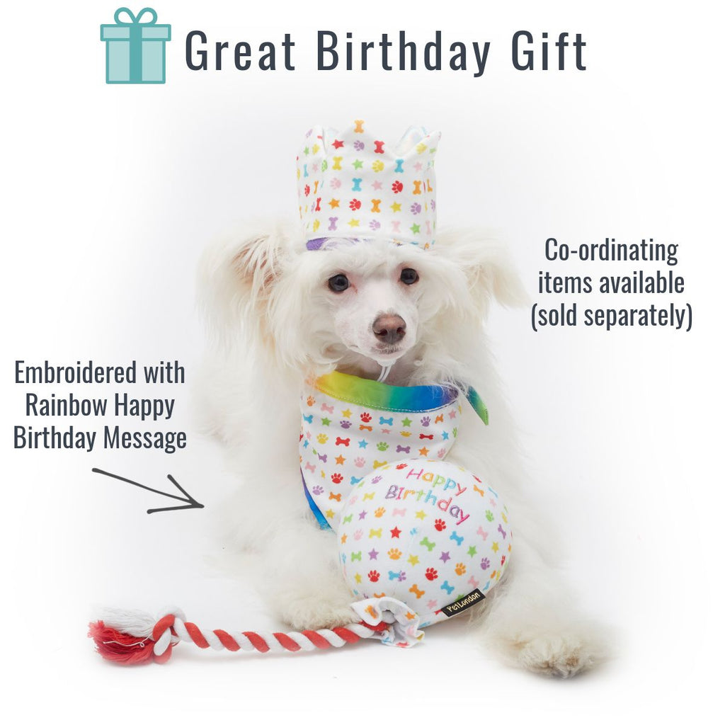 Birthday Balloon toy