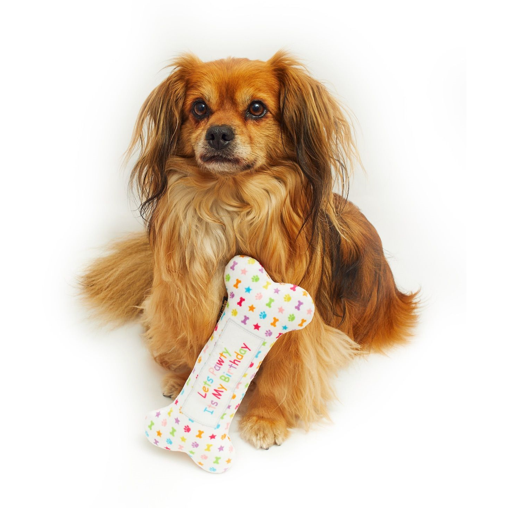 Let’s Pawty bone toy