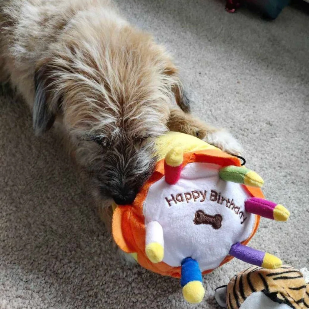 Happy Birthday Cake Plush Toy