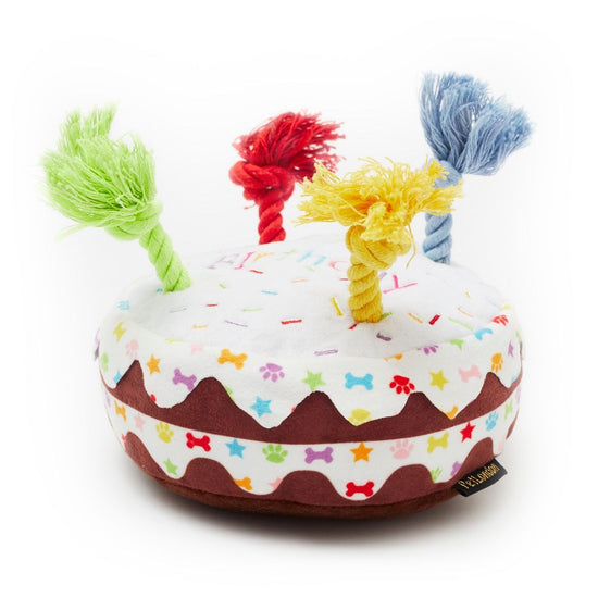 Birthday cake toy