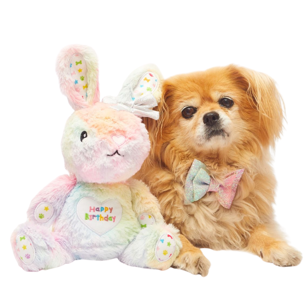 Rainbow Birthday Bunny