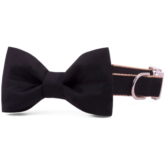 Onyx Black Bowtie Collar