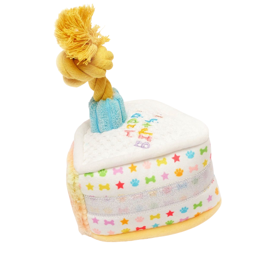 Rainbow Sparkle Cake Slice