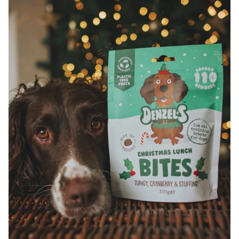 Denzels - Christmas Lunch bites