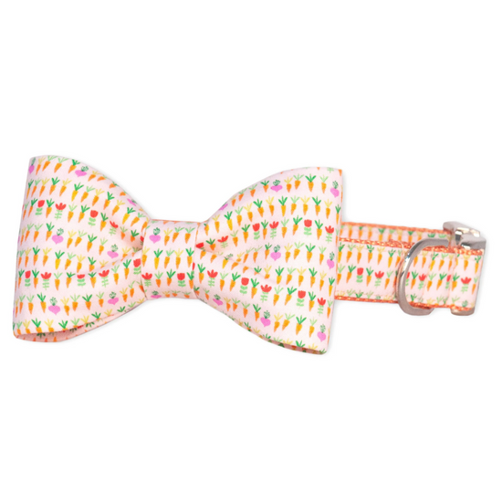 Cute Roots bow tie collar