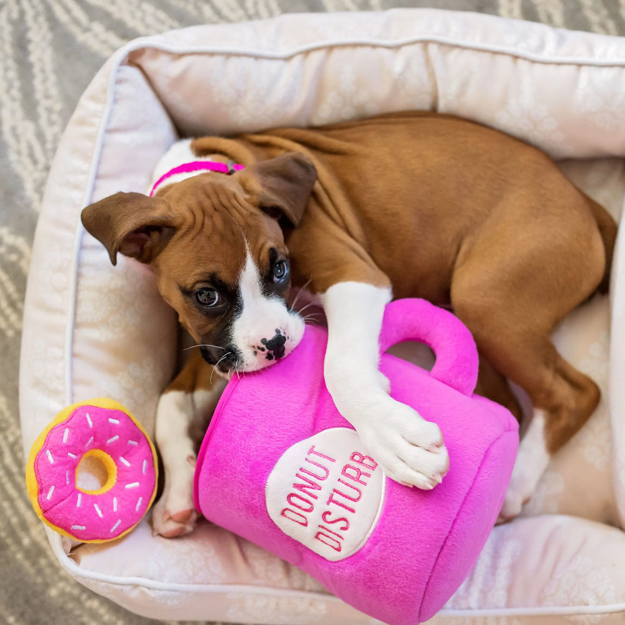 Donut Disturb Burrow toy