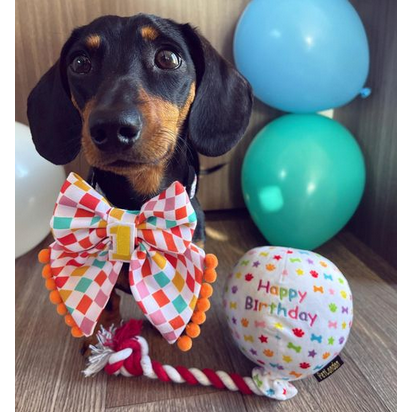 Birthday Balloon toy