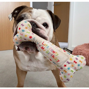 Let’s Pawty bone toy