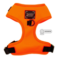 Neon Orange Adjustable Harness