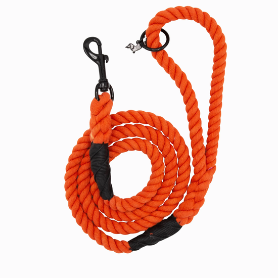 Neon Orange Rope Lead