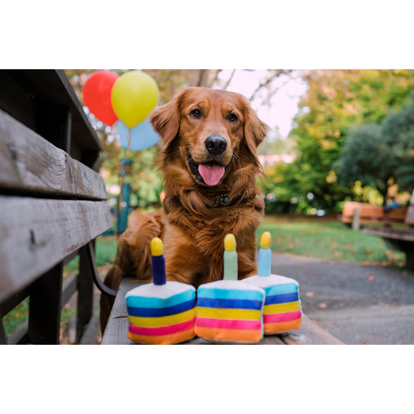 Bone'appetite Cake