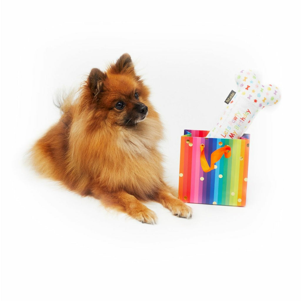 Let’s Pawty bone toy