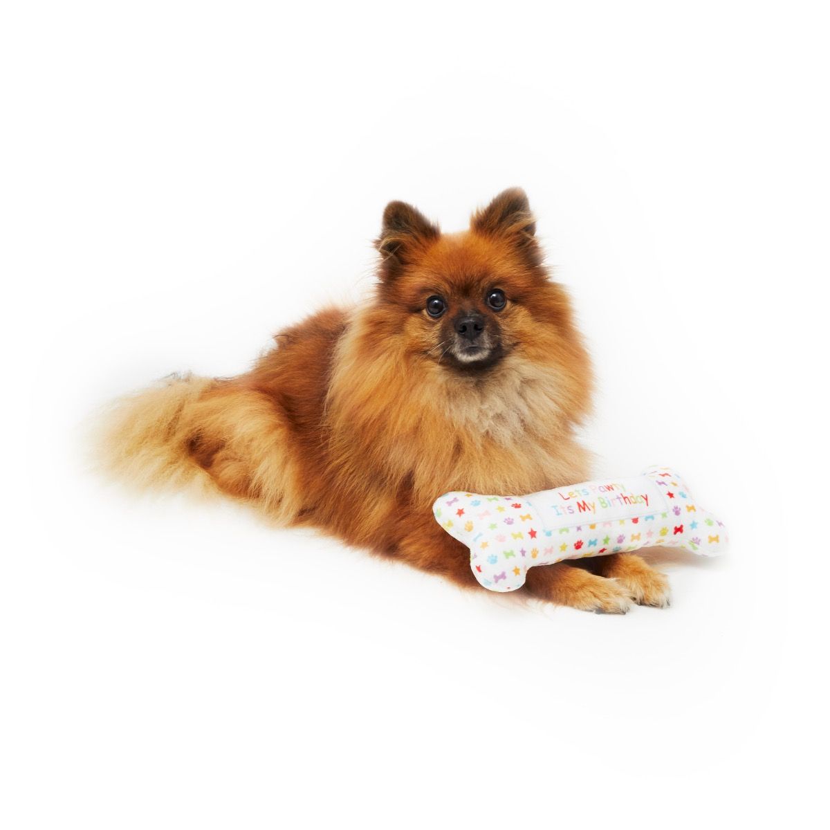 Let’s Pawty bone toy