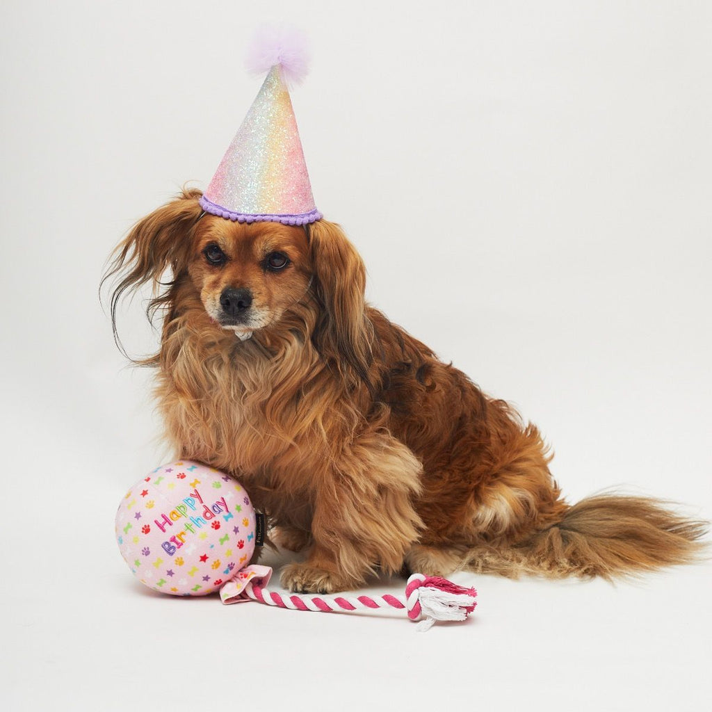 Pink Birthday Balloon Toy