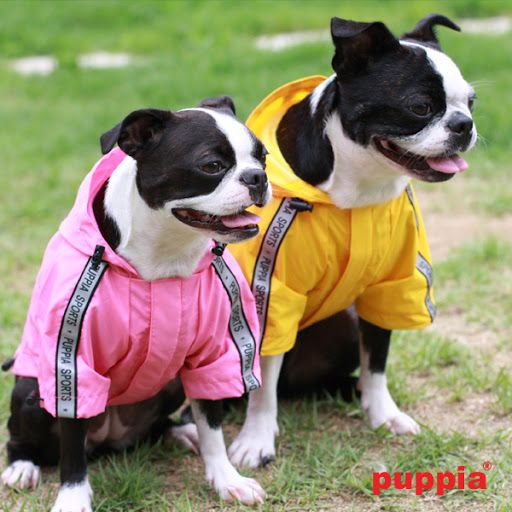 Puppia Base Dog Raincoat - Pink