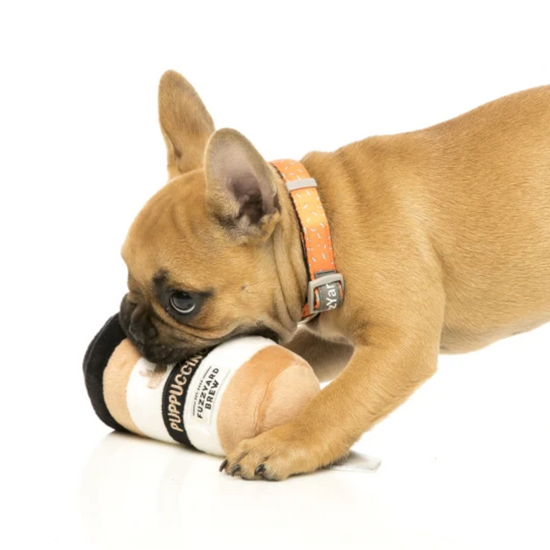 Load image into Gallery viewer, Puppuccino toy
