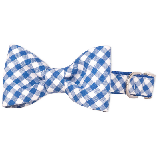 Royal Blue Picnic Plaid Bow Tie Collar