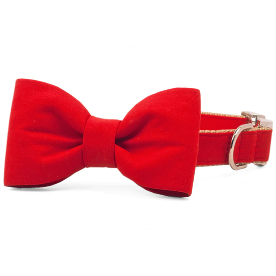 Scarlett Red Bow Tie  Collar