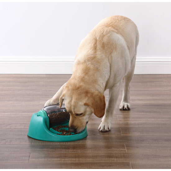 WOBBLE BOWL - SLOW FEEDER & DOG PUZZLE IN ONE - Nina Ottosson